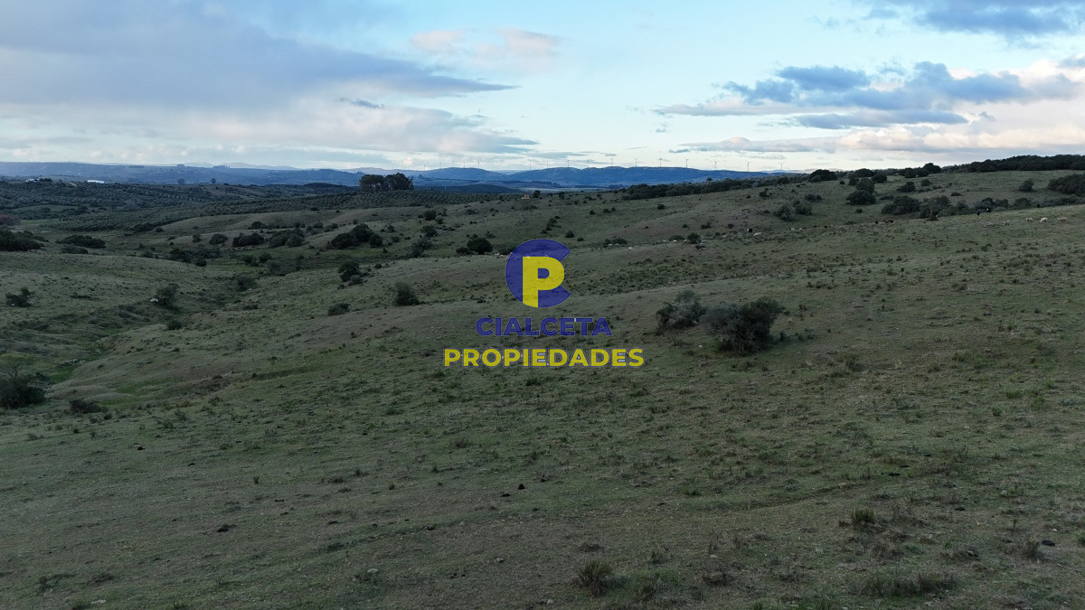 Pueblo Eden - GoPunta - Portal Inmobiliario de Punta del Este - Maldonado