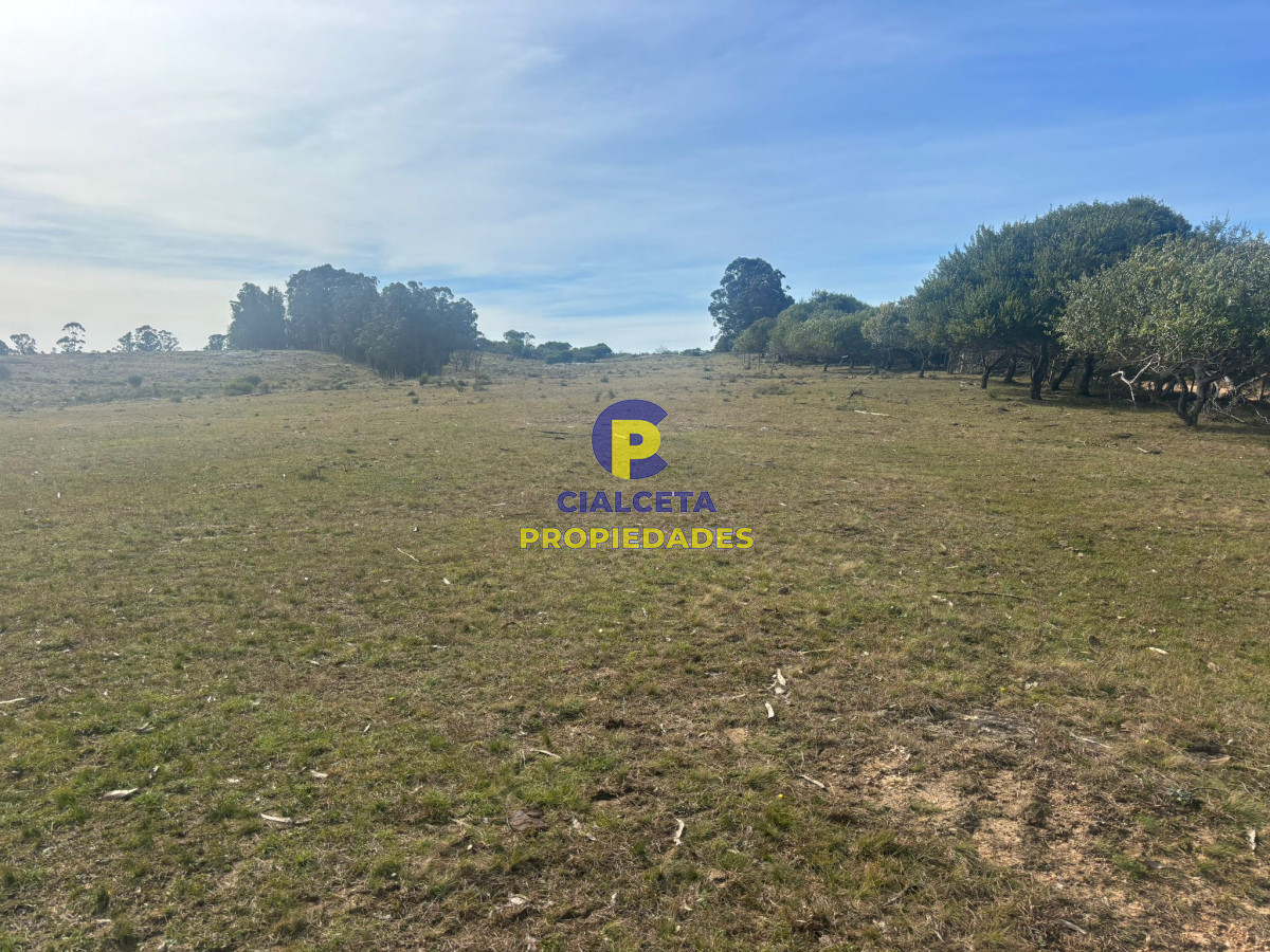 Maldonado - GoPunta - Portal Inmobiliario de Punta del Este - Maldonado