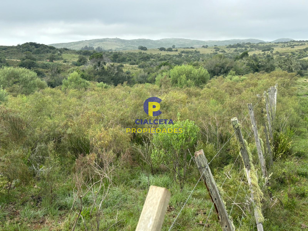 Las Cañas - GoPunta - Portal Inmobiliario de Punta del Este - Maldonado
