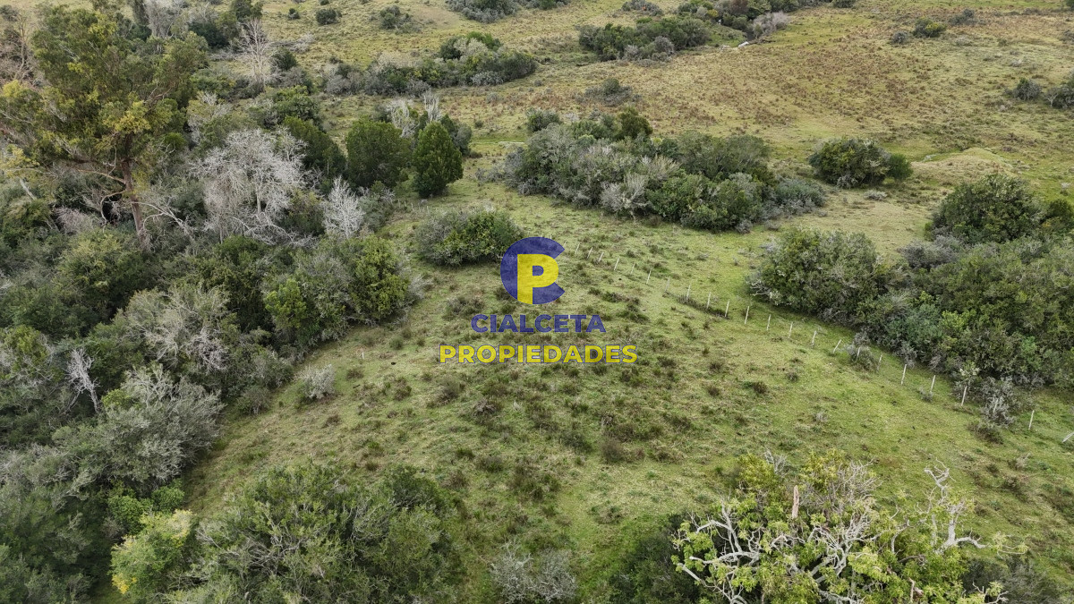 Minas - GoPunta - Portal Inmobiliario de Punta del Este - Maldonado