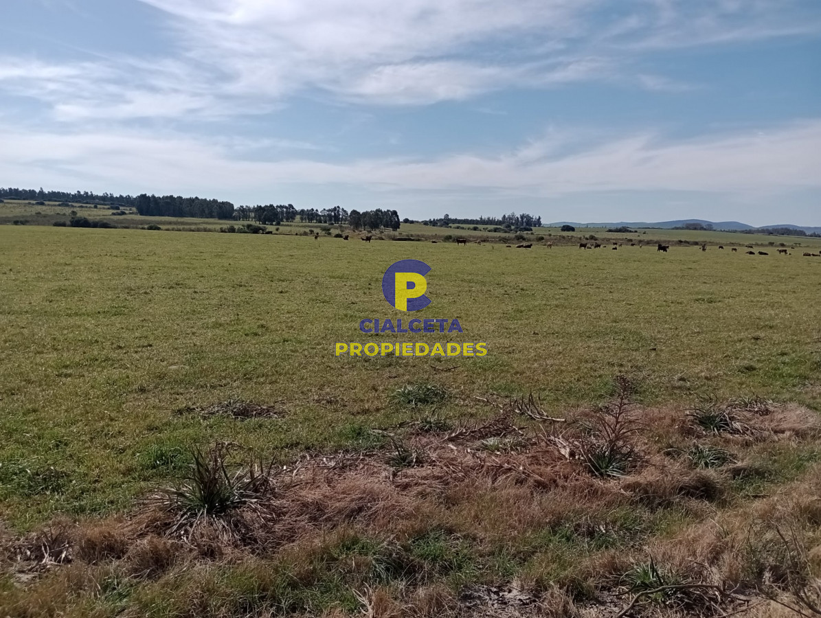 Chacra ID.287 - 5 hectáreas en Maldonado