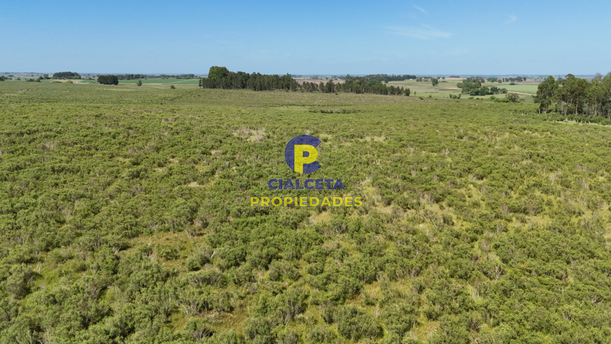 Minas - GoPunta - Portal Inmobiliario de Punta del Este - Maldonado