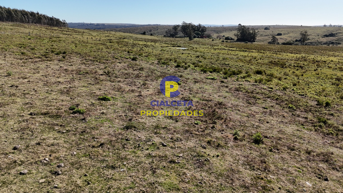 Chacra ID.492 - 5 hectáreas con entrega de 18 mil dólares
