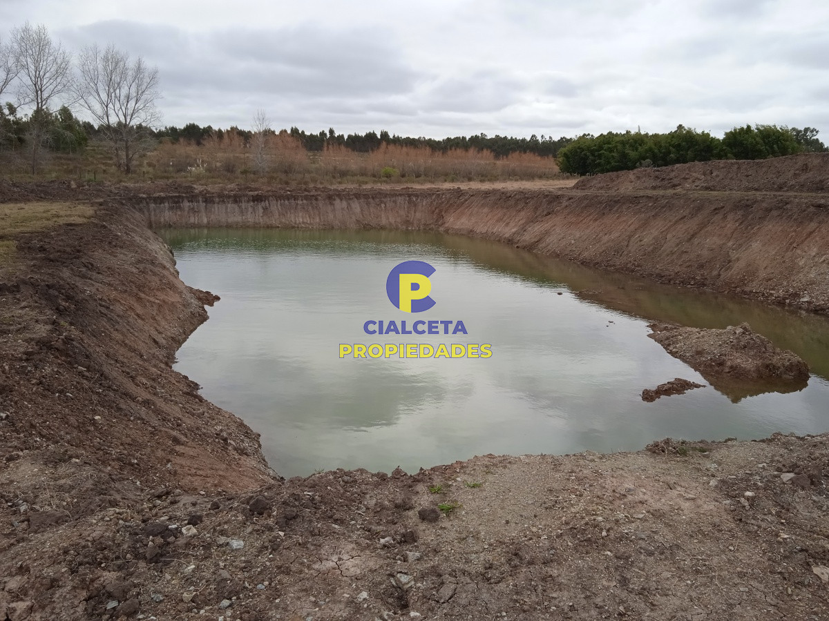 Chacra ID.201 - 3 hectáreas en Canelones