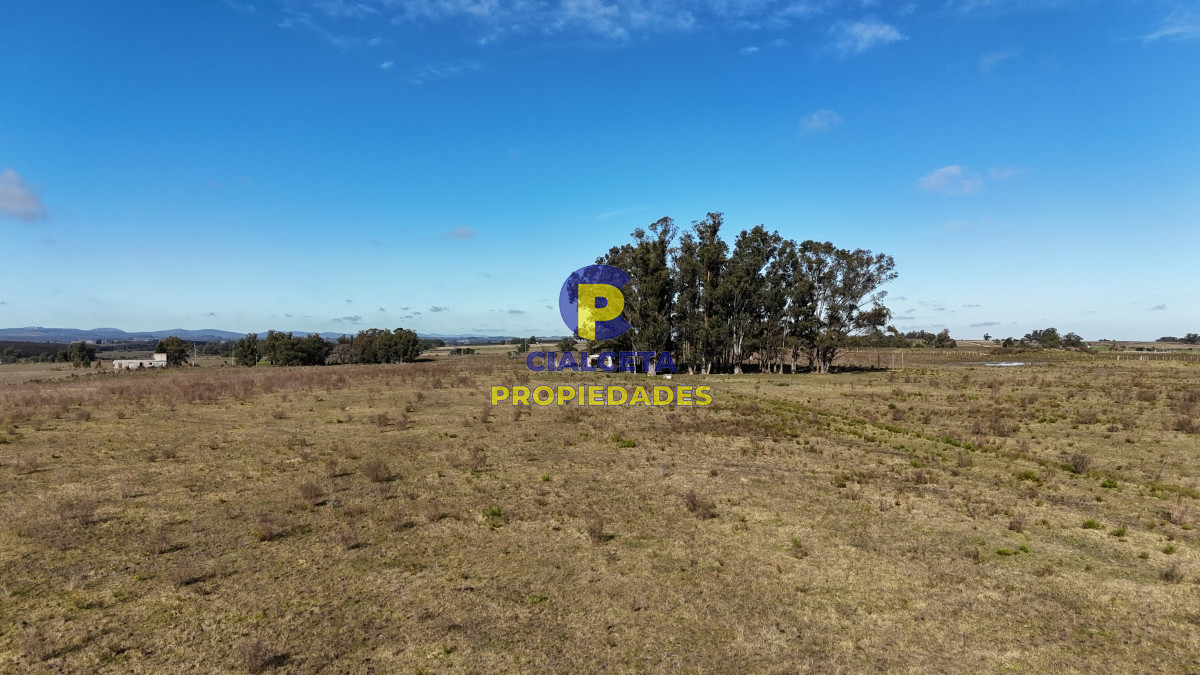 Minas - GoPunta - Portal Inmobiliario de Punta del Este - Maldonado