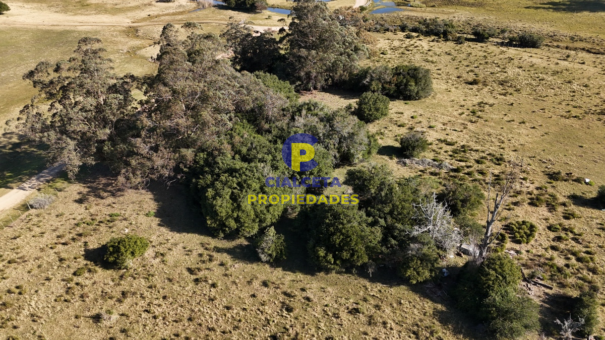 Pueblo Eden - GoPunta - Portal Inmobiliario de Punta del Este - Maldonado