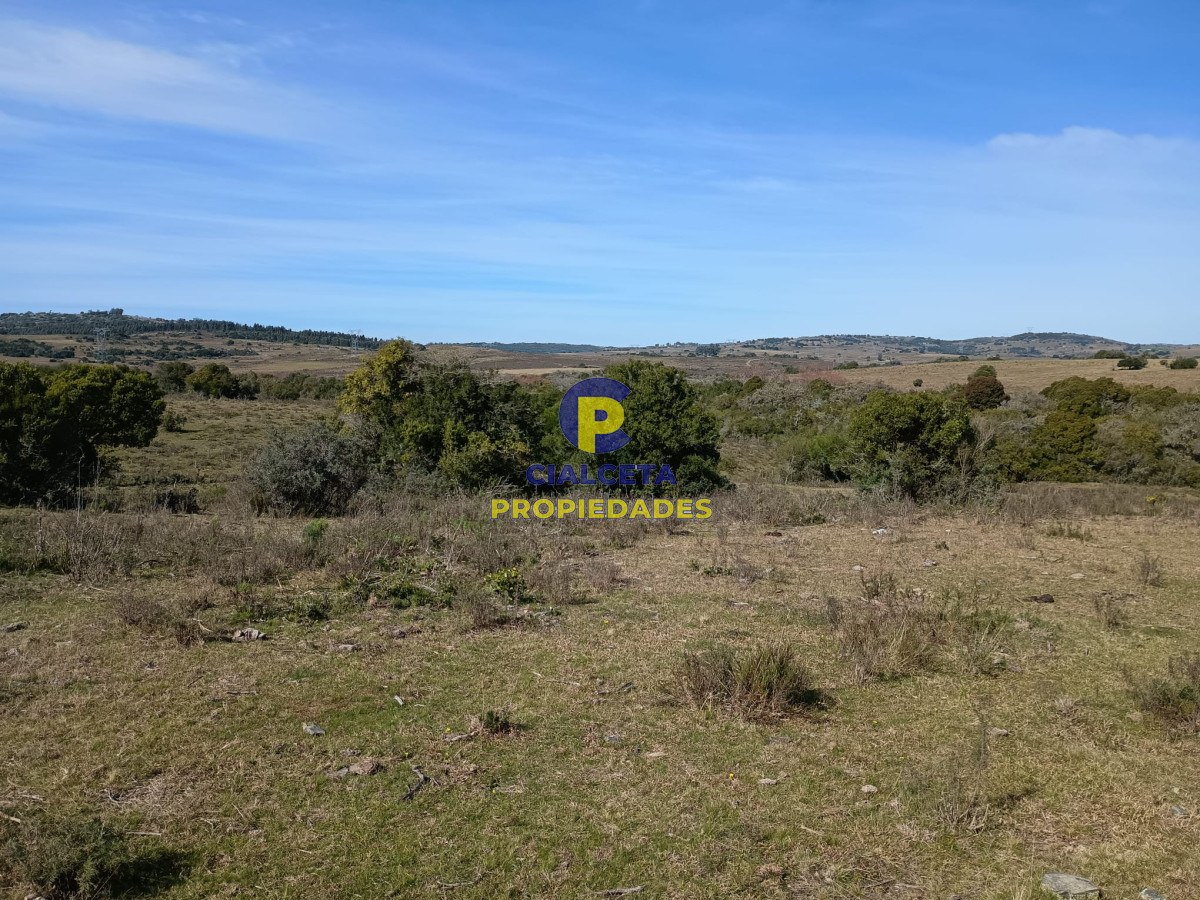Zona Rural - GoPunta - Portal Inmobiliario de Punta del Este - Maldonado
