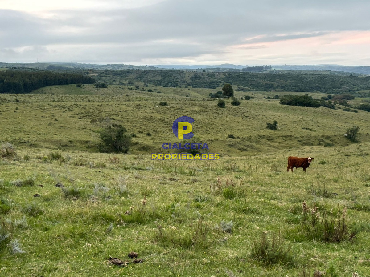 Pueblo Eden - GoPunta - Portal Inmobiliario de Punta del Este - Maldonado
