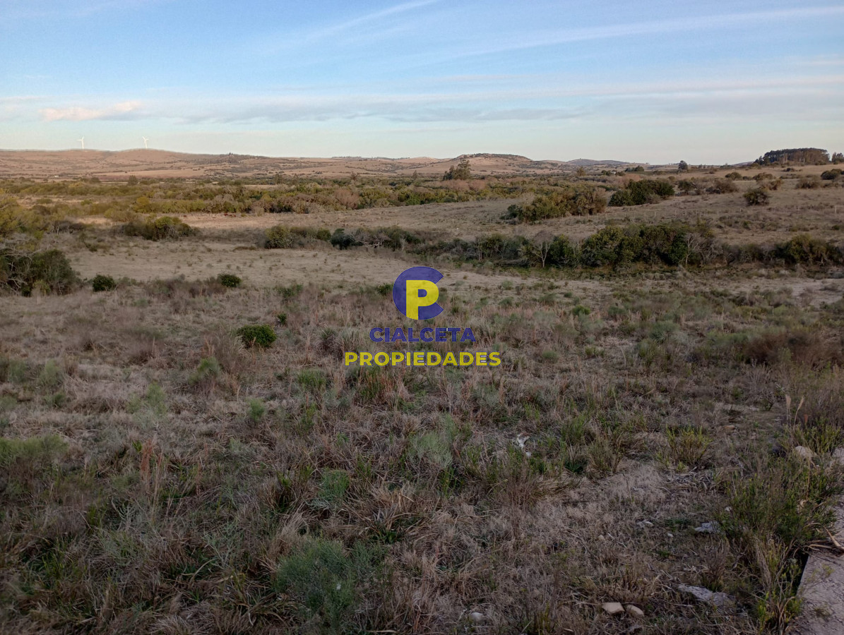Chacra ID.299 - 6 hectáreas en Pueblo Edén