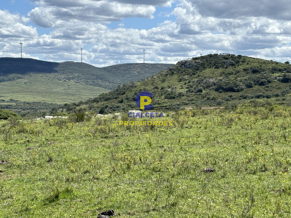 Maldonado - GoPunta - Portal Inmobiliario de Punta del Este - Maldonado