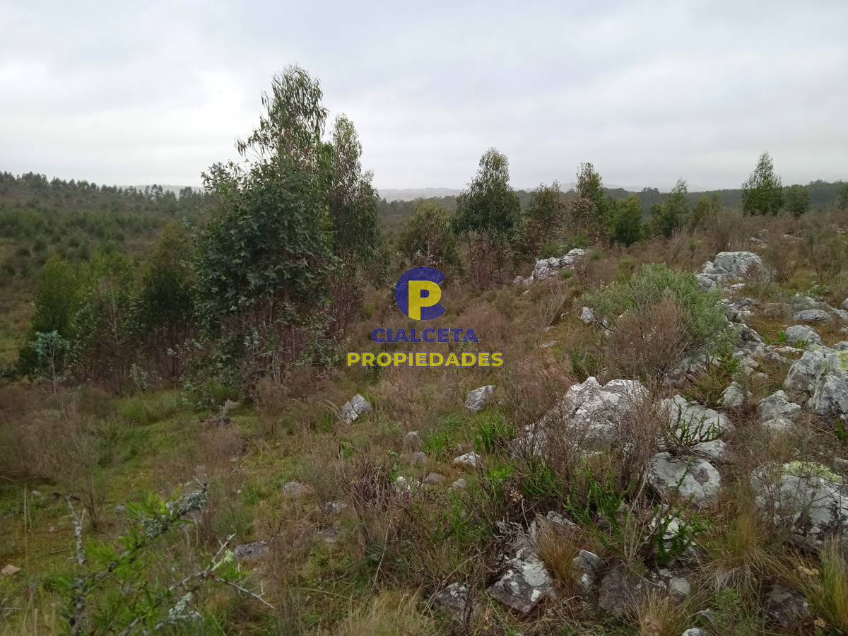 Chacra ID.47 - 5 hectáreas, entregando 7.000 U$S se financian