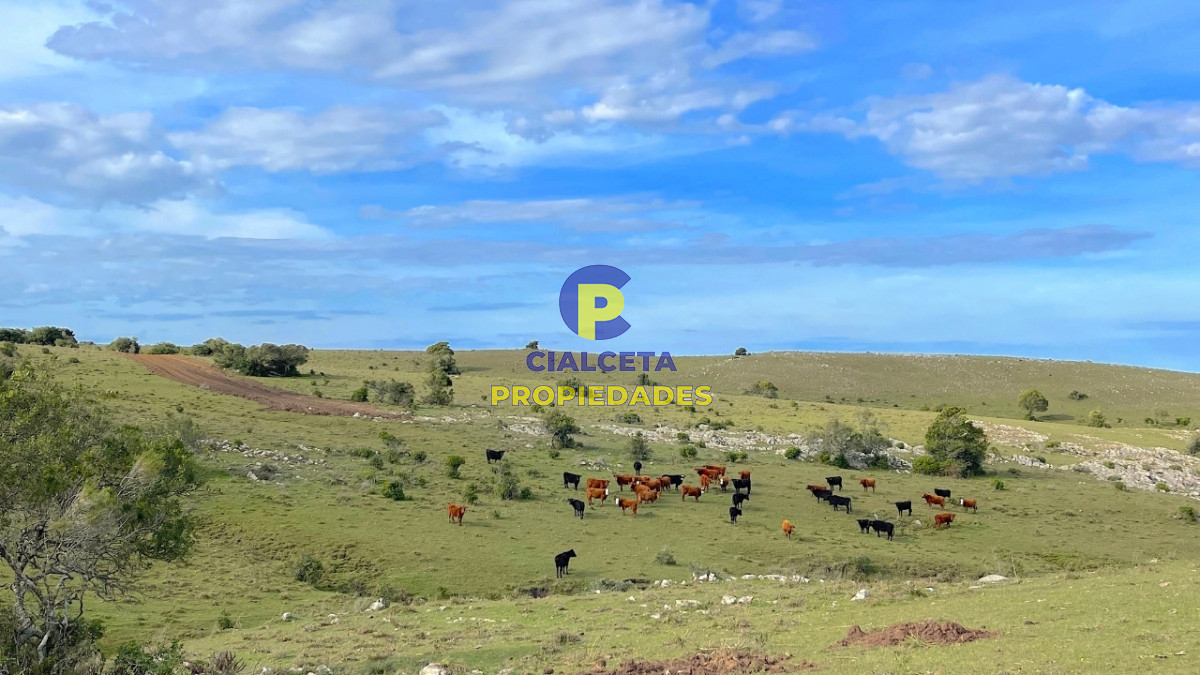 Pueblo Eden - GoPunta - Portal Inmobiliario de Punta del Este - Maldonado