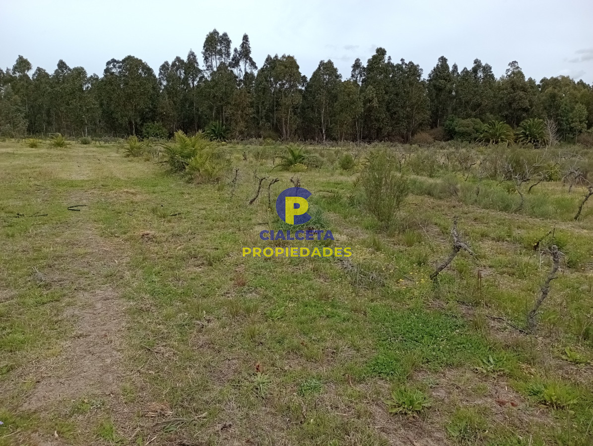 Chacra ID.201 - 3 hectáreas en Canelones