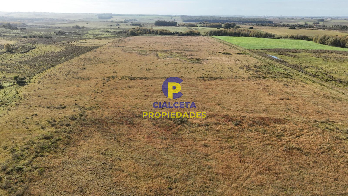 Canelones - GoPunta - Portal Inmobiliario de Punta del Este - Maldonado