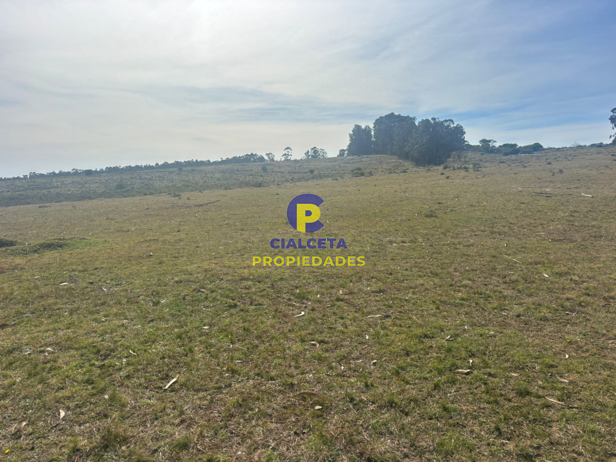 Maldonado - GoPunta - Portal Inmobiliario de Punta del Este - Maldonado