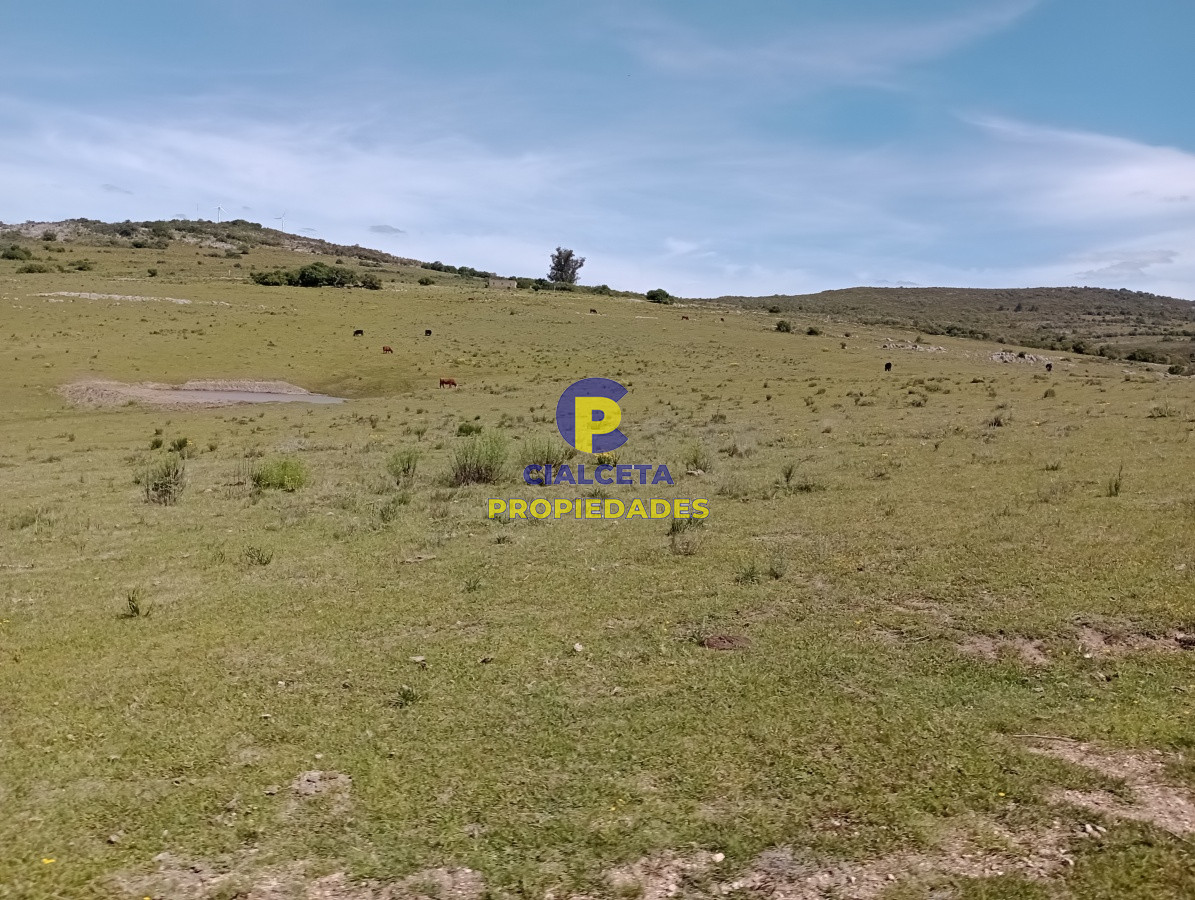 Chacra ID.208 - 5 hectáreas en Pueblo Edén