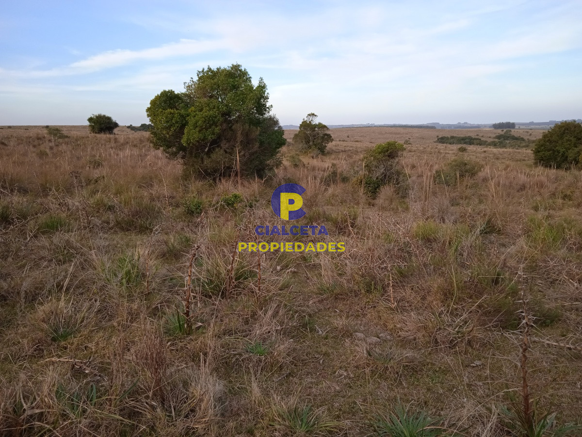 Chacra ID.157 - 10 hectáreas en Garzón
