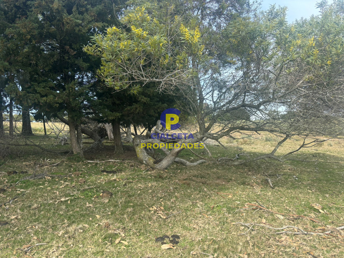 Maldonado - GoPunta - Portal Inmobiliario de Punta del Este - Maldonado