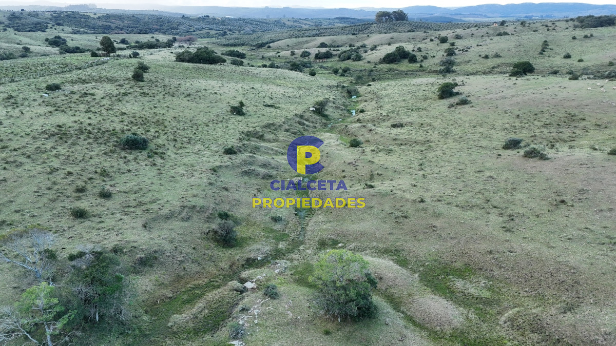 Pueblo Eden - GoPunta - Portal Inmobiliario de Punta del Este - Maldonado