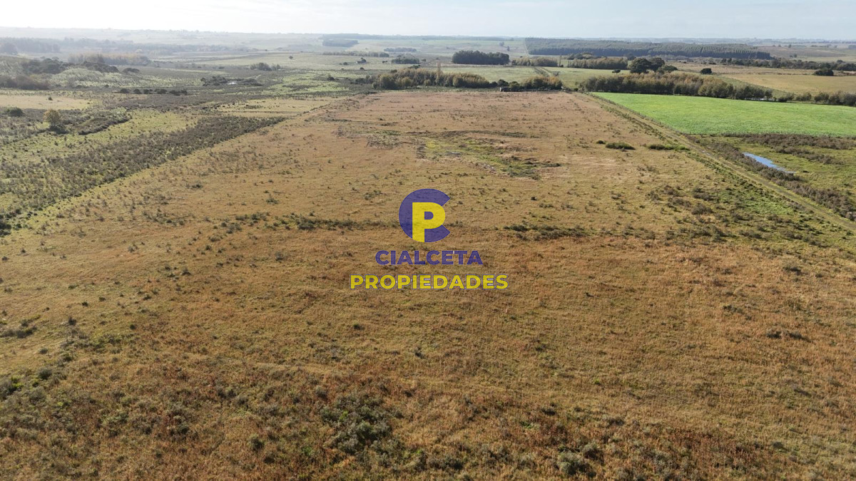 Canelones - GoPunta - Portal Inmobiliario de Punta del Este - Maldonado