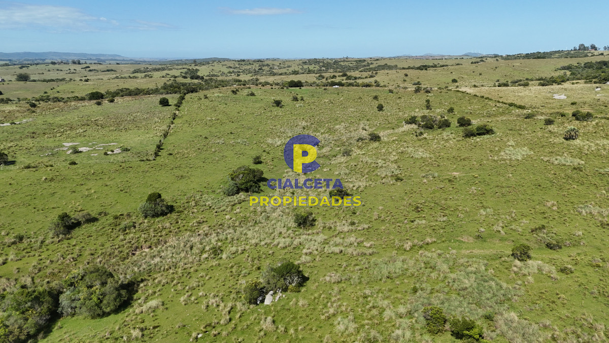 Zona Rural - GoPunta - Portal Inmobiliario de Punta del Este - Maldonado