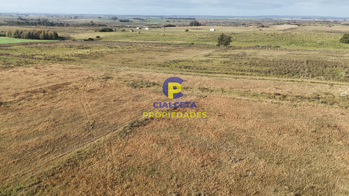 Canelones - GoPunta - Portal Inmobiliario de Punta del Este - Maldonado