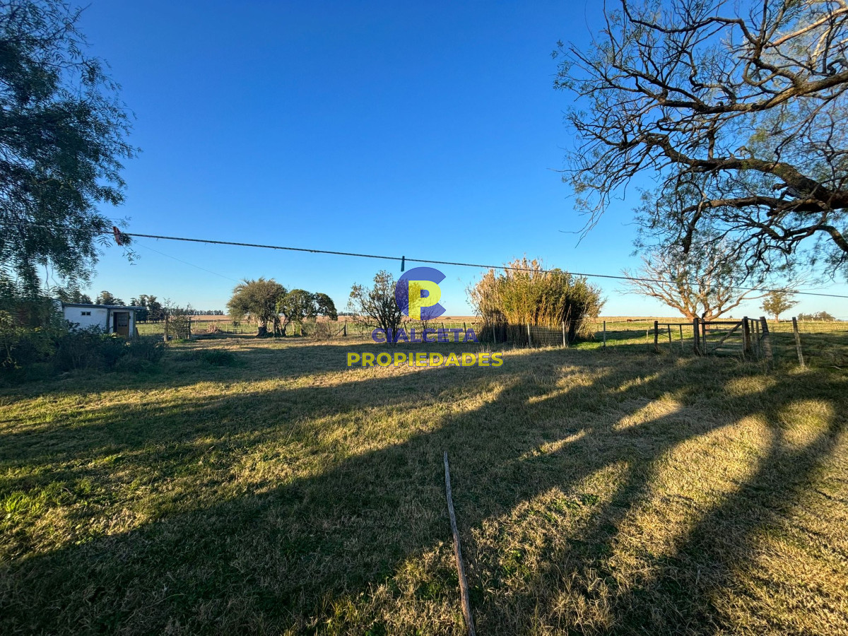 Zona Rural - GoPunta - Portal Inmobiliario de Punta del Este - Maldonado