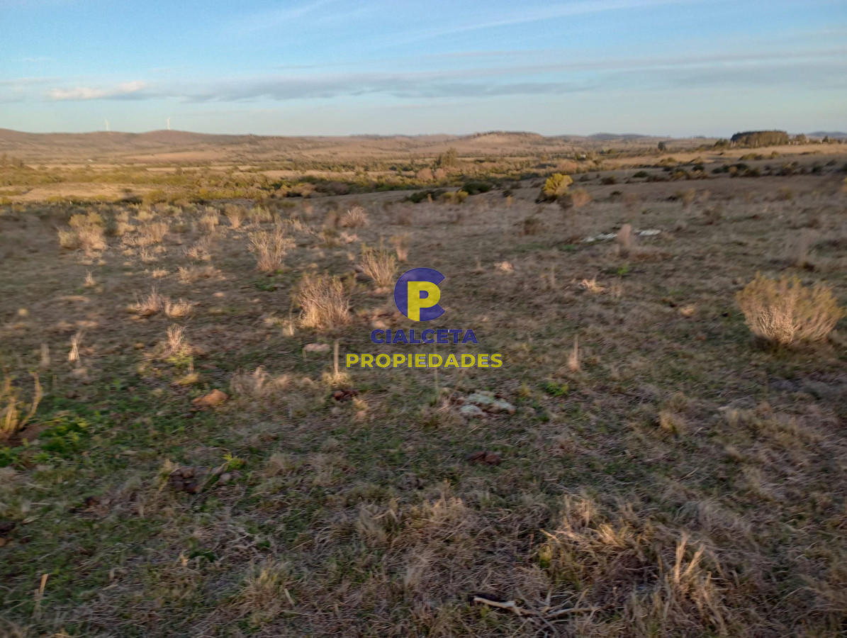Chacra ID.299 - 6 hectáreas en Pueblo Edén