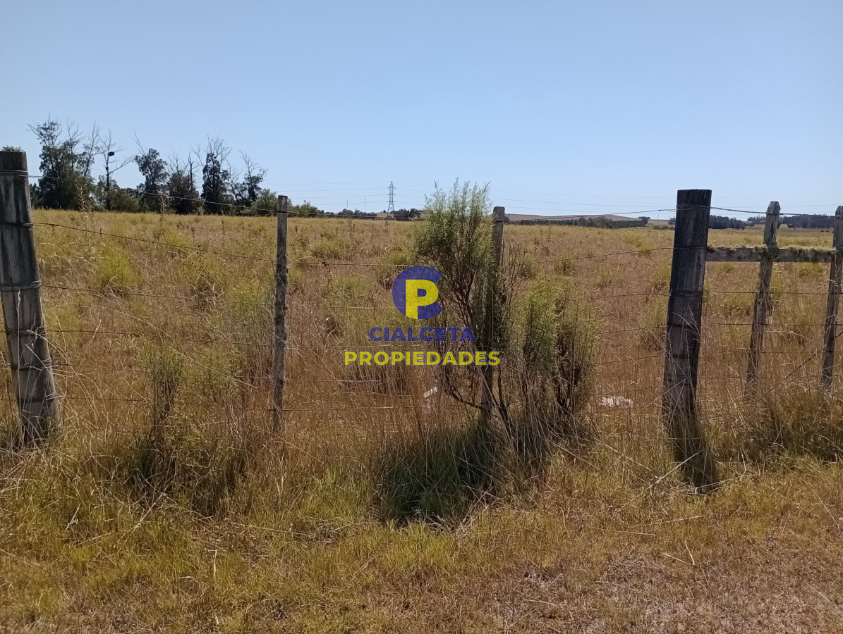 Chacra ID.117 - 5 hectáreas en ruta 104