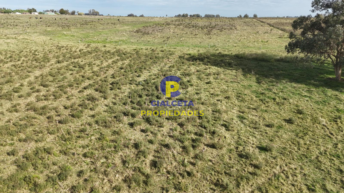 Migues - GoPunta - Portal Inmobiliario de Punta del Este - Maldonado