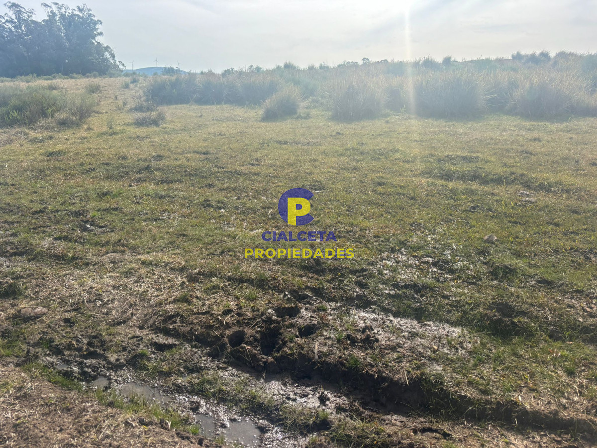 Maldonado - GoPunta - Portal Inmobiliario de Punta del Este - Maldonado