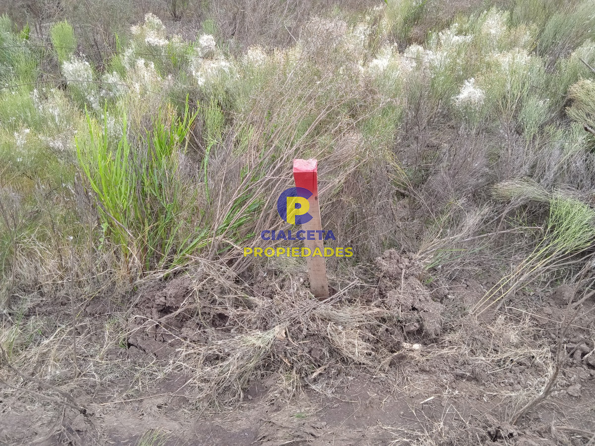 Chacra ID.201 - 3 hectáreas en Canelones