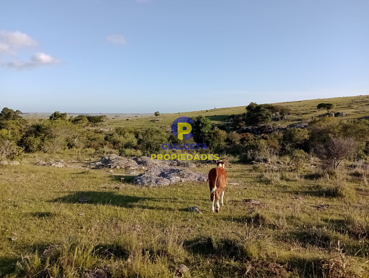 Maldonado - GoPunta - Portal Inmobiliario de Punta del Este - Maldonado