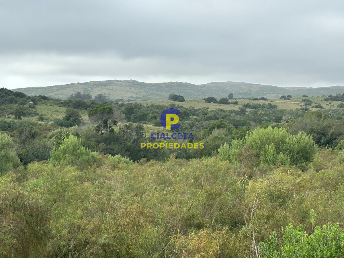 Las Cañas - GoPunta - Portal Inmobiliario de Punta del Este - Maldonado