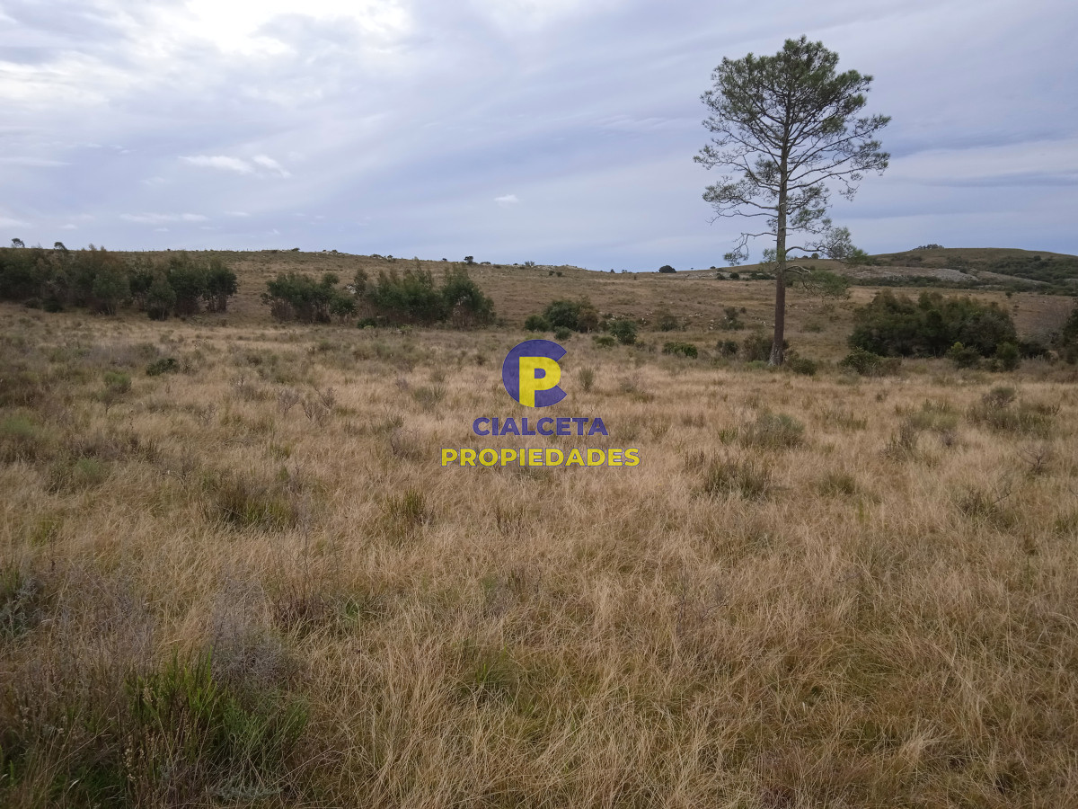 Zona Rural - GoPunta - Portal Inmobiliario de Punta del Este - Maldonado