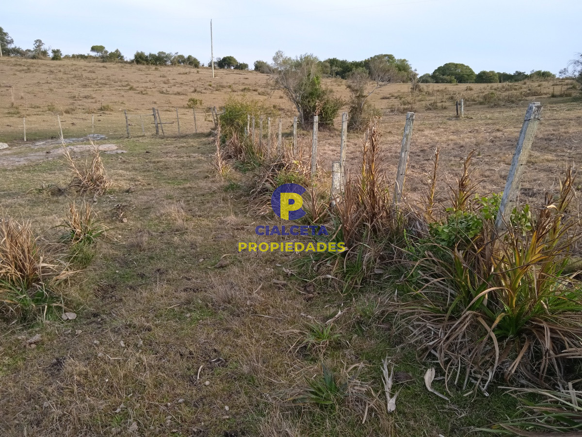 Chacra ID.157 - 10 hectáreas en Garzón