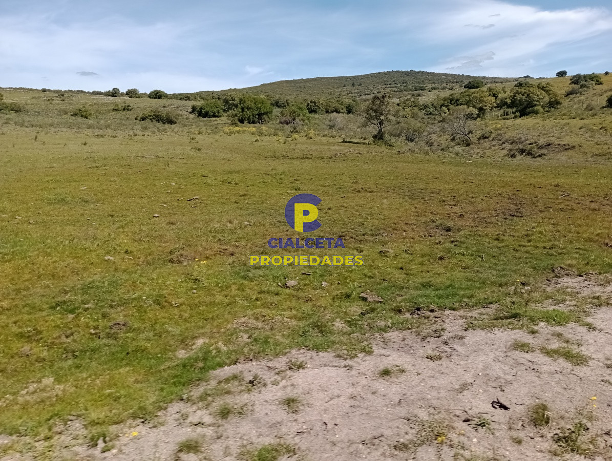 Chacra ID.208 - 5 hectáreas en Pueblo Edén