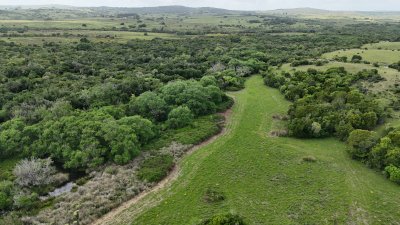 5 hectáreas 3.440 metros con monte y arroyo José Ignacio