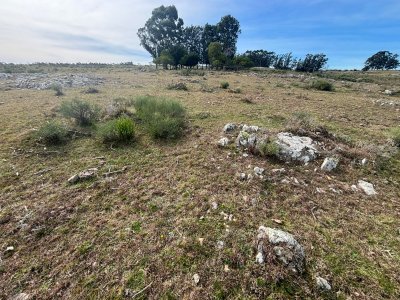 Chacras de 5 hectáreas 1 14 km del centro de San carlos