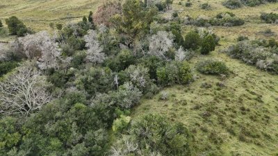 5 hectáreas con cañada, entrega 5.600 y saldo en 100 cuotas