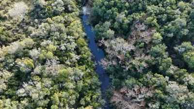 3 hectáreas en Pueblo Edén con arroyo y monte nativo