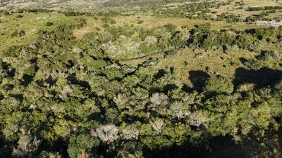 3 hectáreas con monte nativo y buena vista