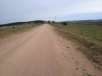 14 hectáreas con 7.500 metros con casa