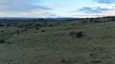 5 hectáreas a 10 km de Pueblo Edén, sobre camino
