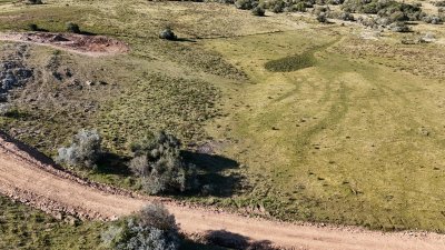 5 hectáreas con entrega de 6 mil dólares