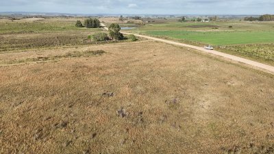 11 hectáreas en Canelones, sobre carretera
