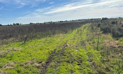 3 hectáreas en Canelones, entrega 20 mil y saldo a dos años