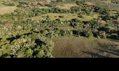 5 hectáreas en Zanja del Tigre