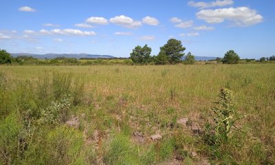 3 hectáreas en Canelones, RESERVADA