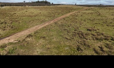 10 hectáreas en Lavalleja, atras de Villa Serrana